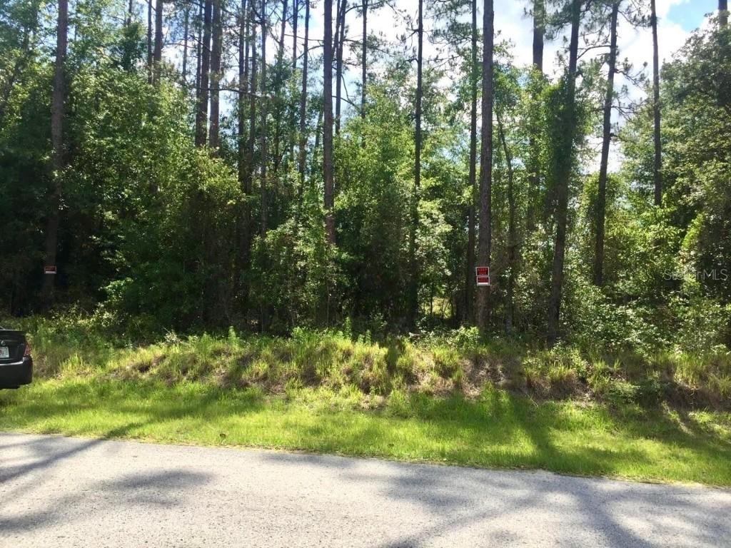 20 & 21 SW Azalea, Dunnellon, FL 34431