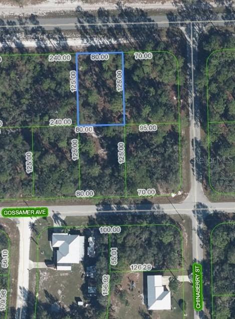 3226 Lake June Blvd., Lake Placid, FL 33852
