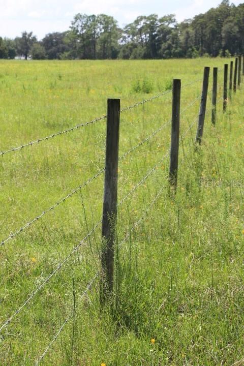 Green Swamp Rd., Clermont, FL 34714