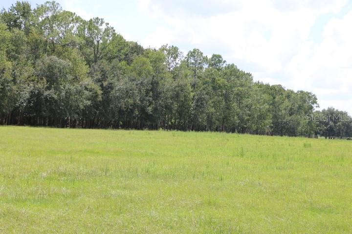 Green Swamp Rd., Clermont, FL 34714