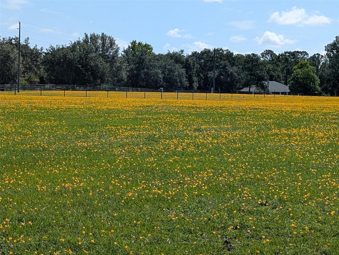 Green Swamp Rd., Clermont, FL 34714