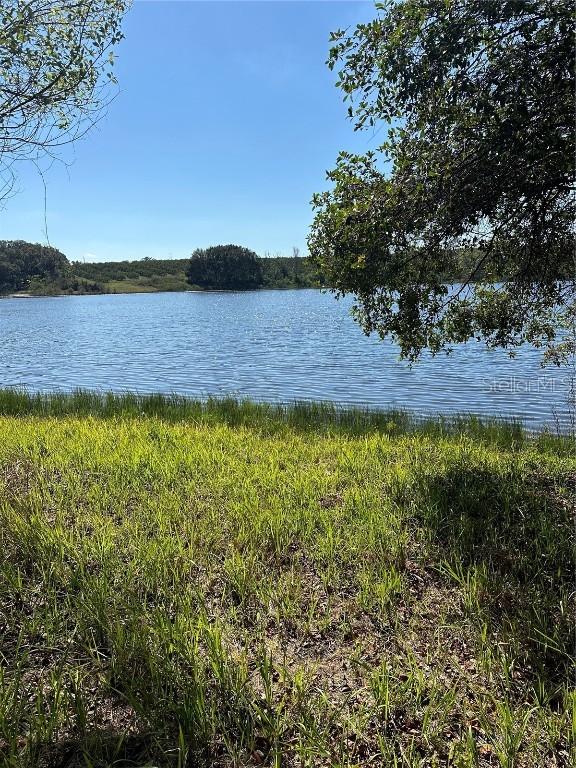 Saltsdale Rd., Umatilla, FL 32784