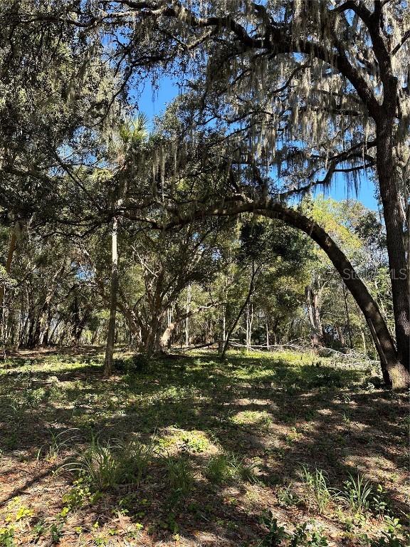 Saltsdale Rd., Umatilla, FL 32784