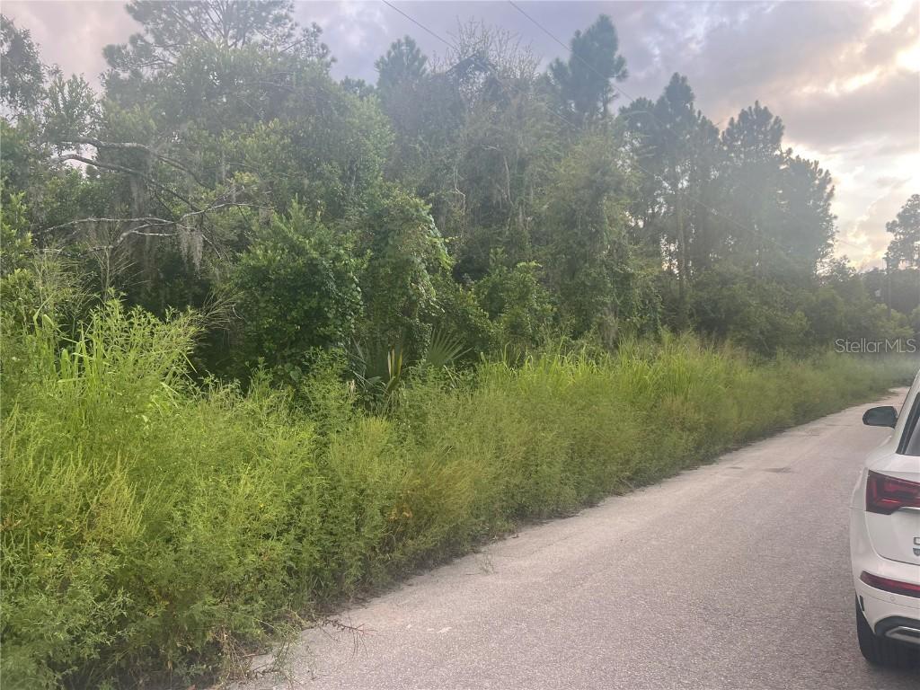 Lots 119, 120, 121 & 122 W Herrick Ave., Eustis, FL 32726