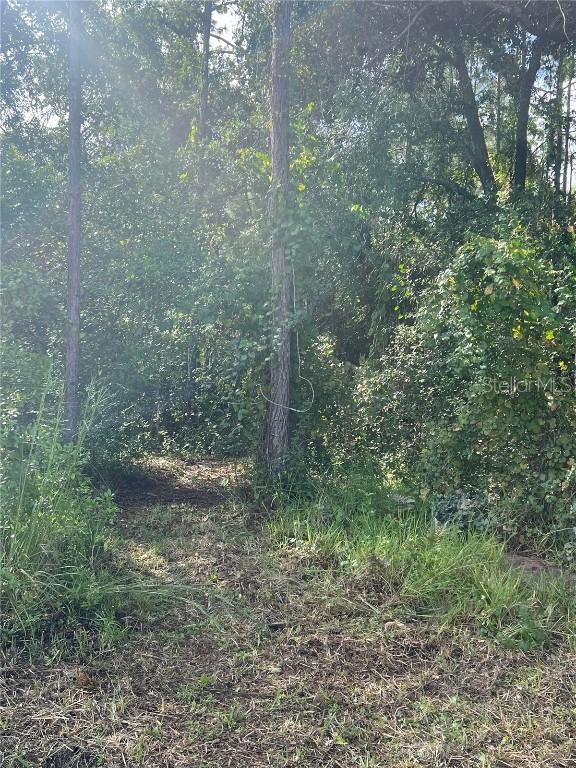 Lots 119, 120, 121 & 122 W Herrick Ave., Eustis, FL 32726