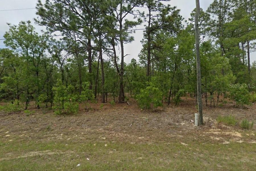 2409 W Newhope Ln., Dunnellon, FL 34434