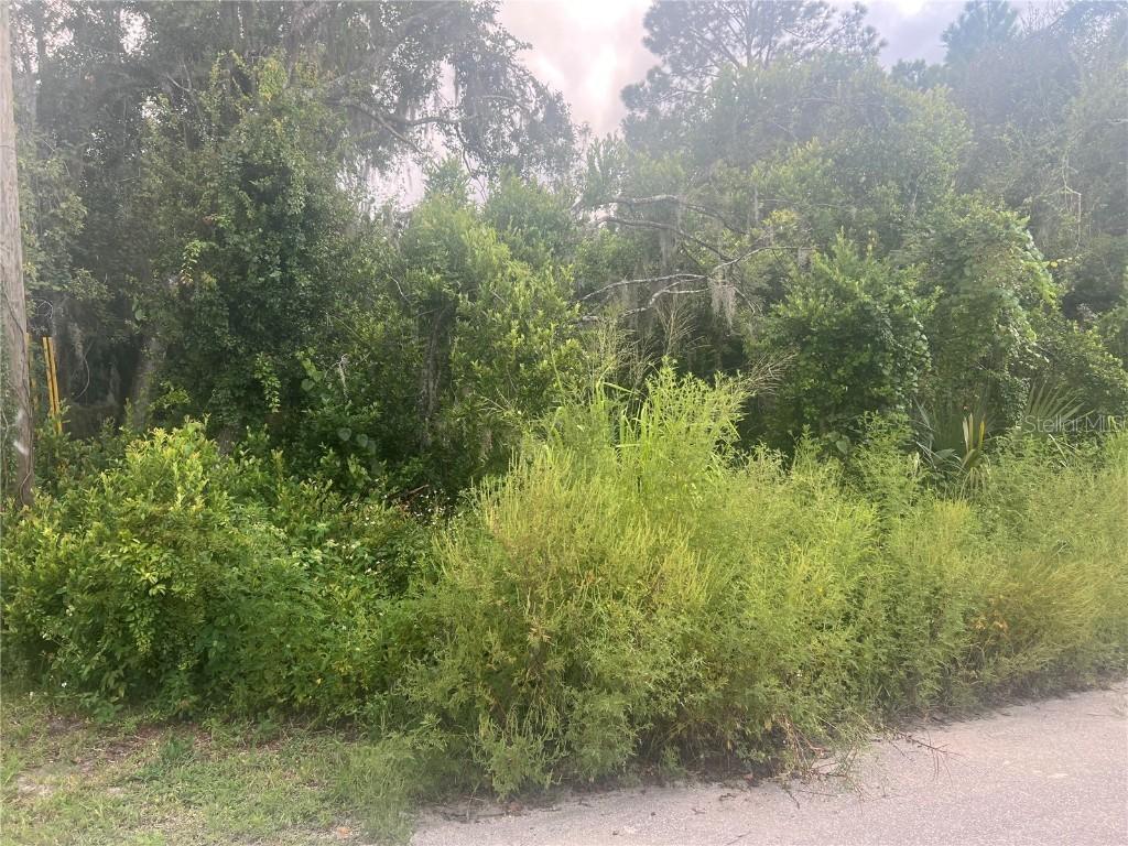 Lots 123, 124, 125, 126 W Herrick Ave., Eustis, FL 32726