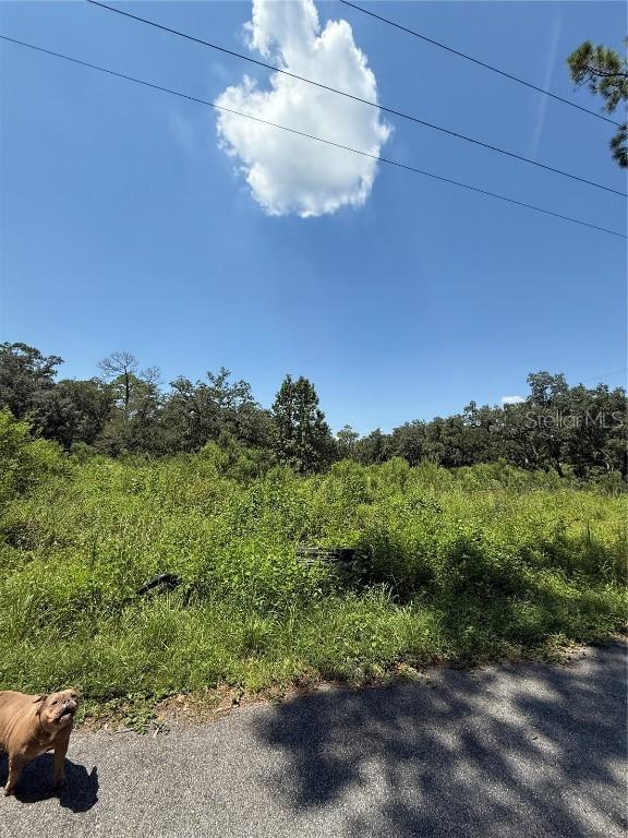 1356 Montzen Rd., Davenport, FL 33896