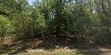 8545 N Wallingford Ave., Dunnellon, FL 34434
