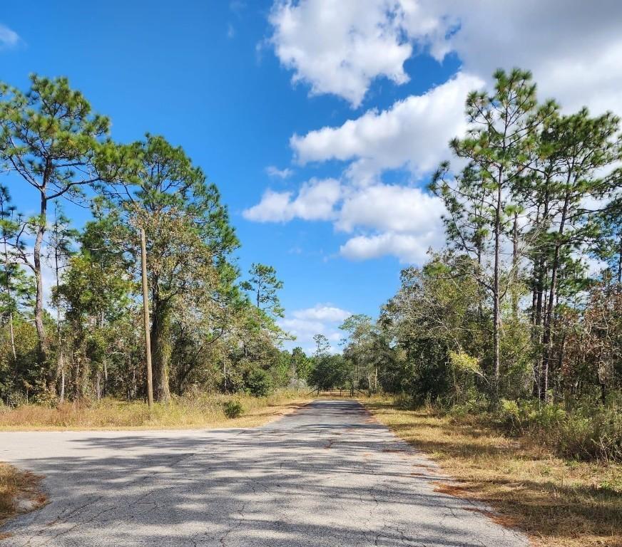 SW Woodland, Dunnellon, FL 34433