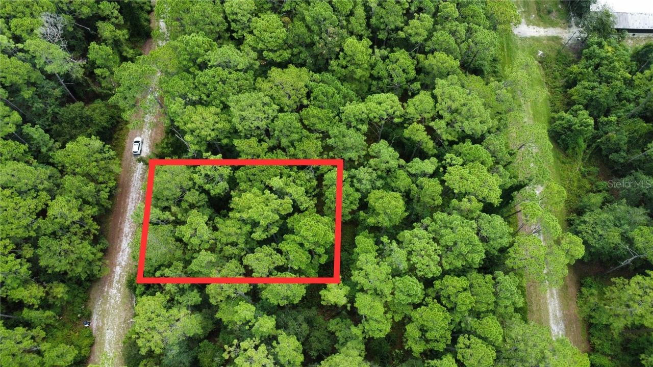 413 Dogwood Ave., Georgetown, FL 32139