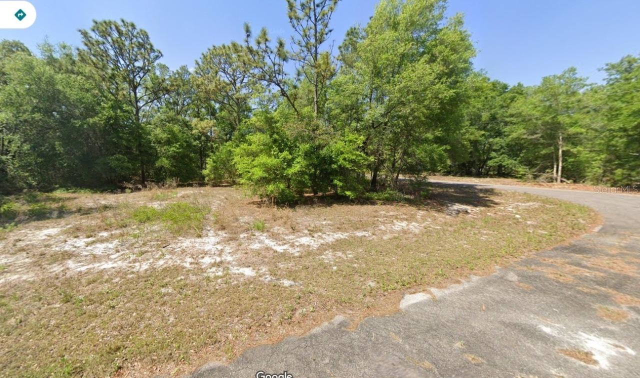 Bay Place Way, Ocklawaha, FL 32179