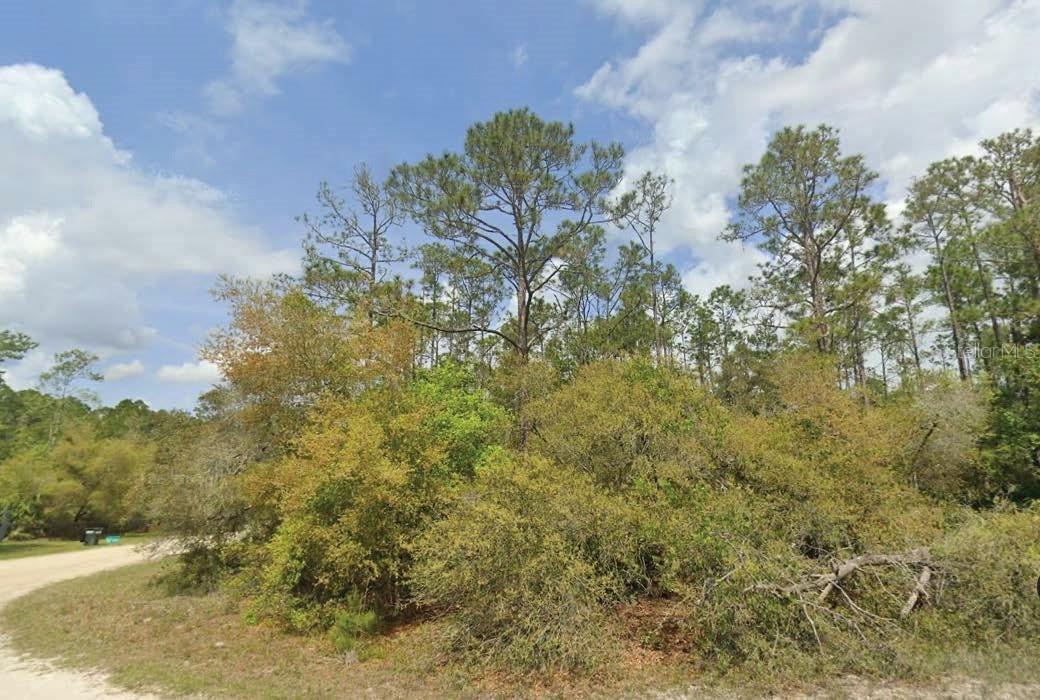 Dolphin Dr., Georgetown, FL 32139