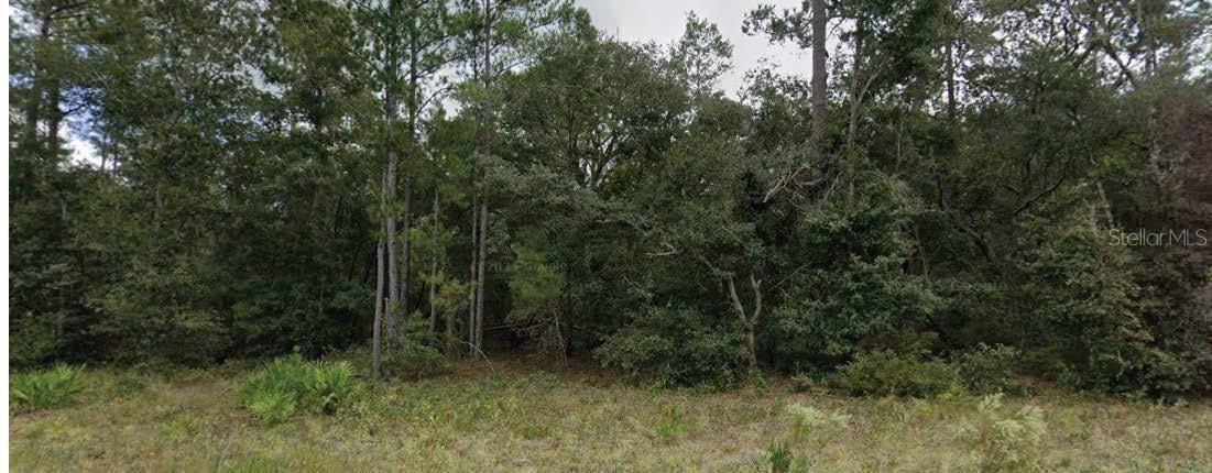 110 W Hillsborough Ave., Florahome, FL 32140