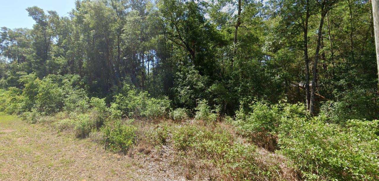 00 SW Starling Dr., Dunnellon, FL 34431