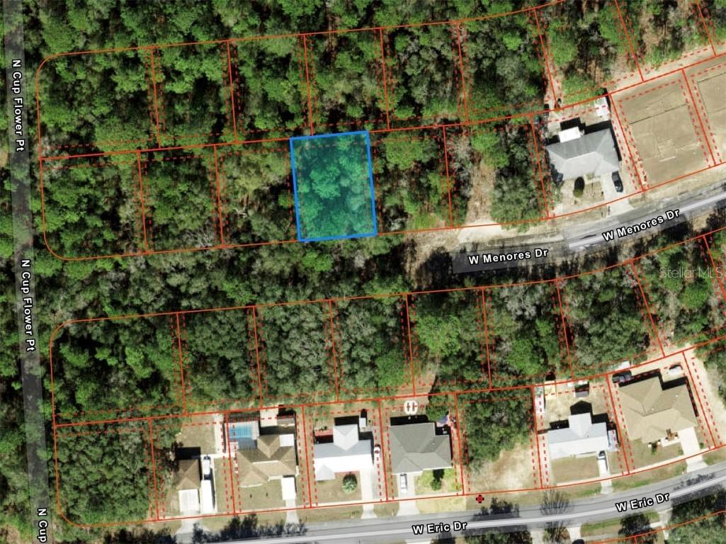 2481 W Menores Dr., Citrus Springs, FL 34434