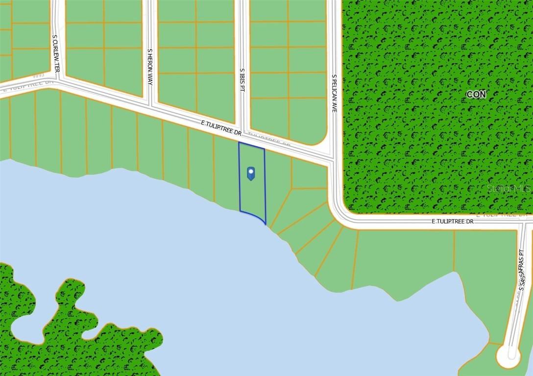 10124 E Tulip Tree Dr., Inverness, FL 34450