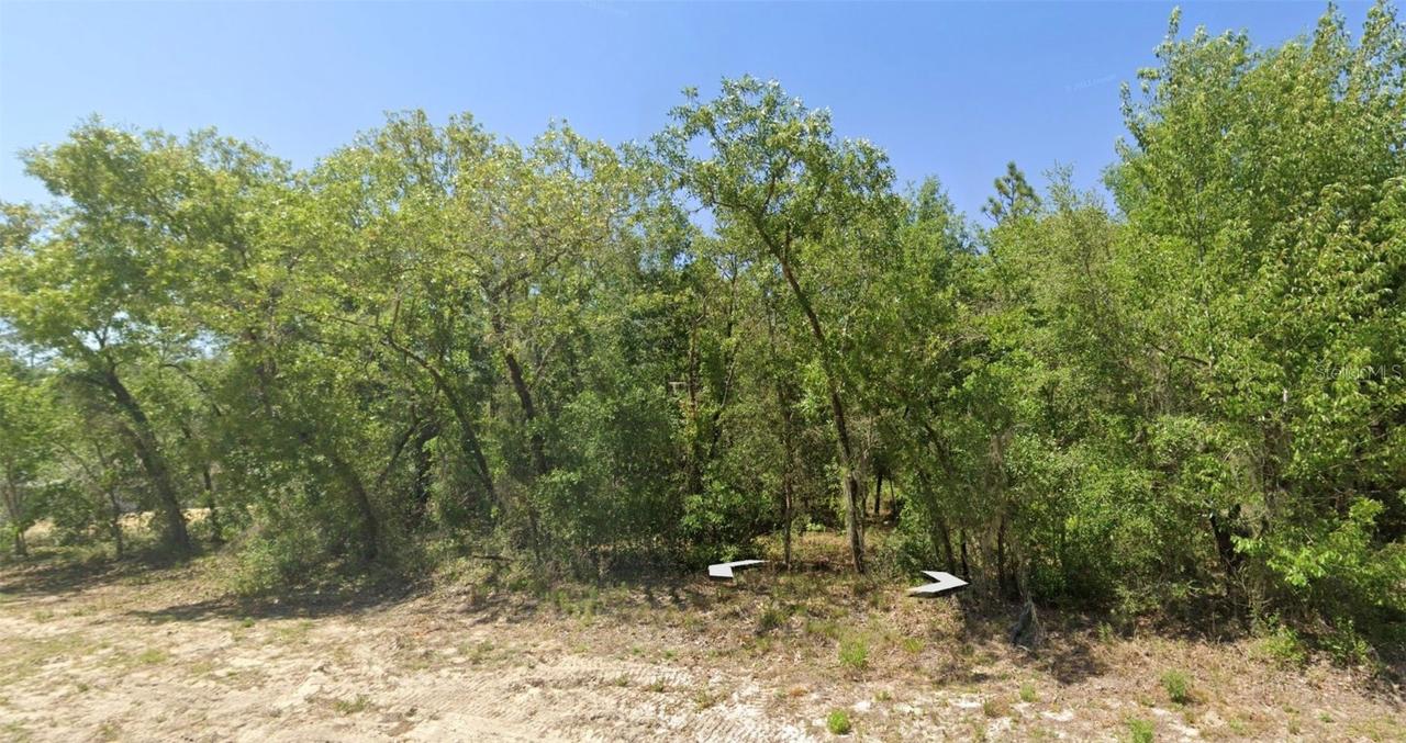 Rainbow Lakes Blvd, Dunnellon, FL 34431