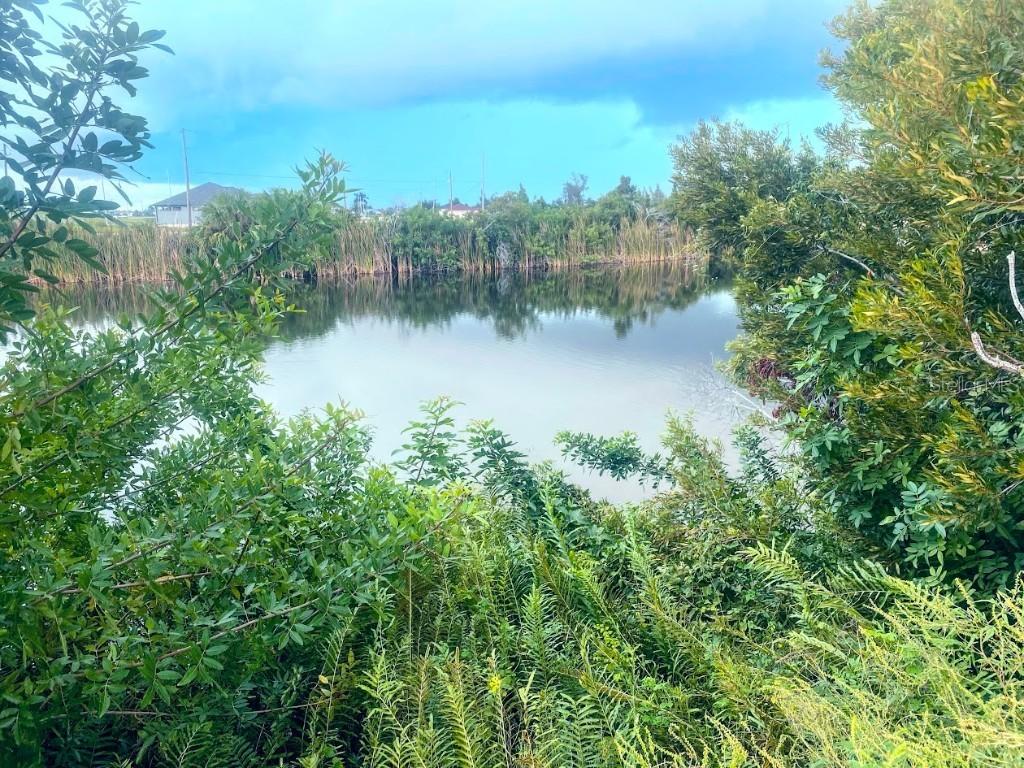 3117 Nw 9th St, Cape Coral, FL 33993
