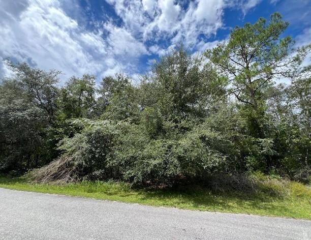 6252 N Cavalier Ter., Citrus Springs, FL 34433