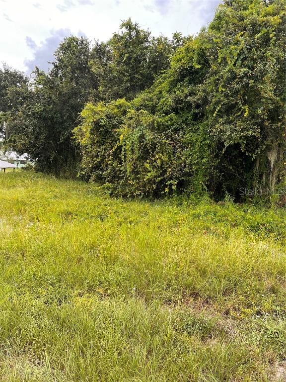 112 Happiness Ave., Lake Placid, FL 33852