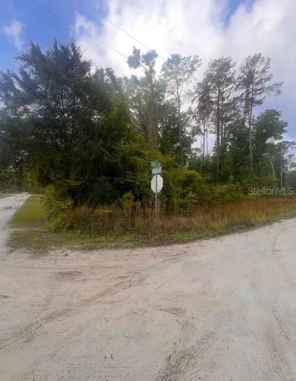 SW 3rd Pl., Ocala, FL 34481