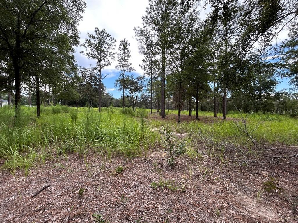 16051 SW 44 St., Ocala, FL 34481