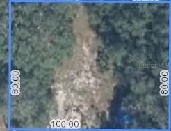 470 N Barrie Rd., Avon Park, FL 33825