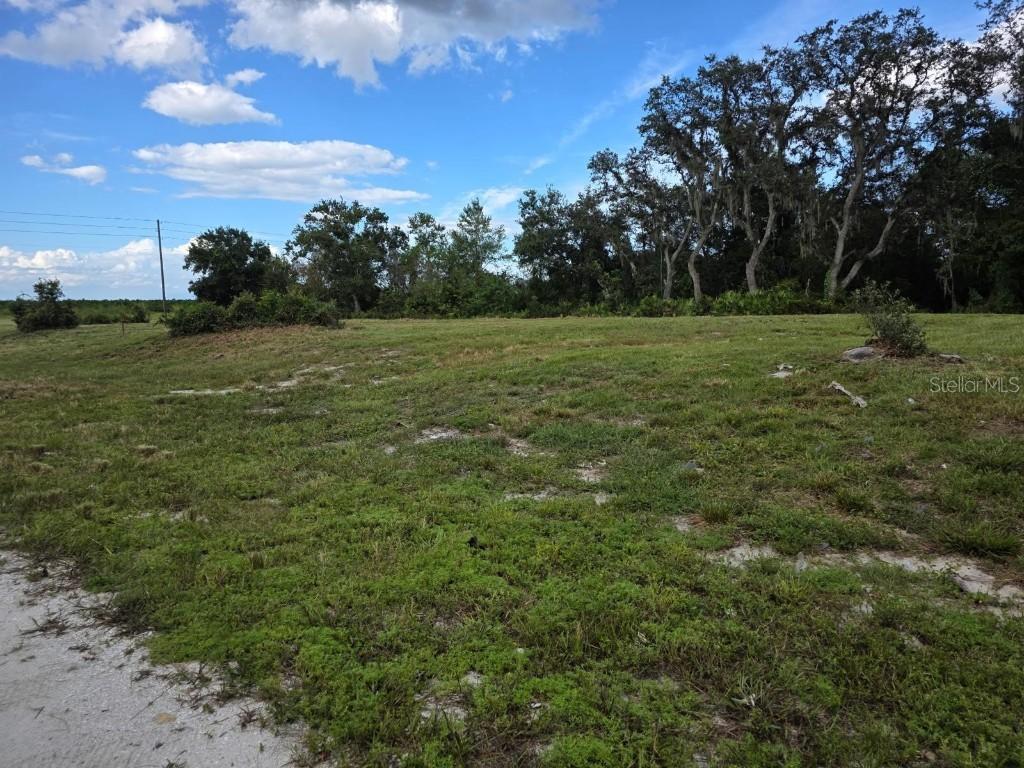 470 N Barrie Rd., Avon Park, FL 33825