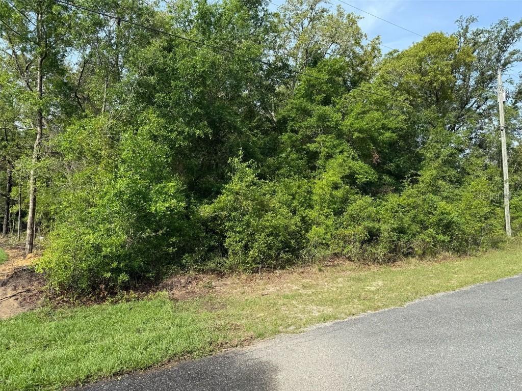 10274 N Harbor Way, Citrus Springs, FL 34434