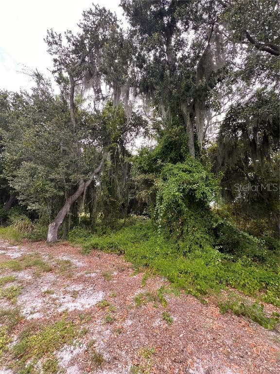 324 Cinema Dr., Lake Placid, FL 33852