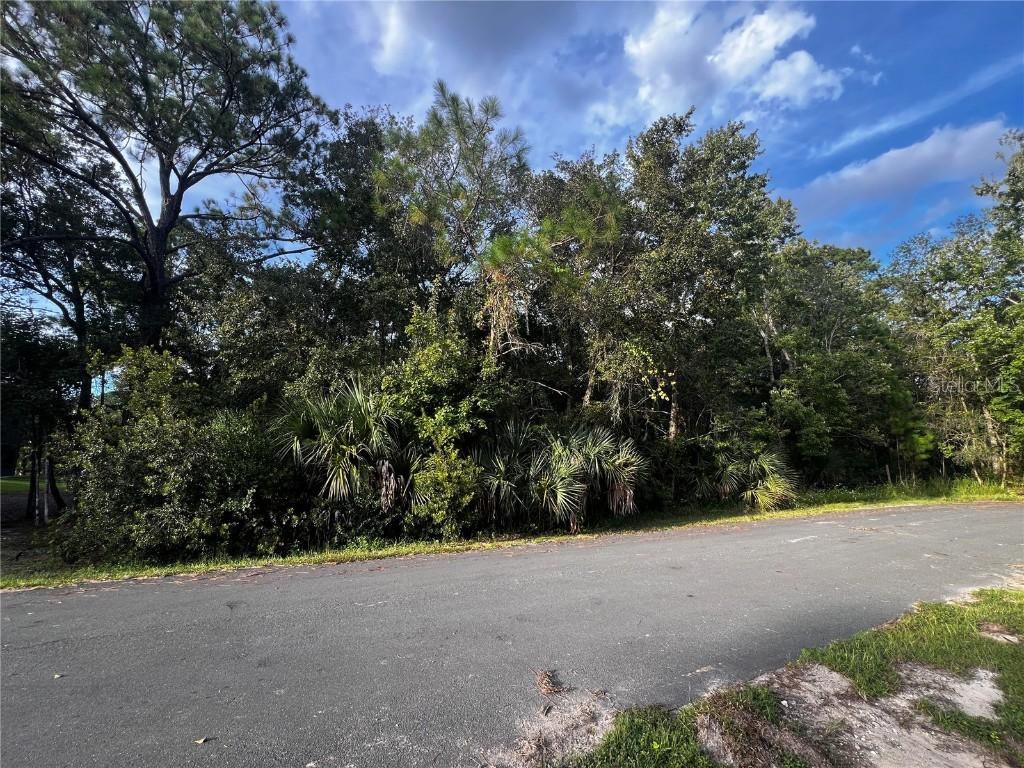 Sioux Tr., Kissimmee, FL 34747