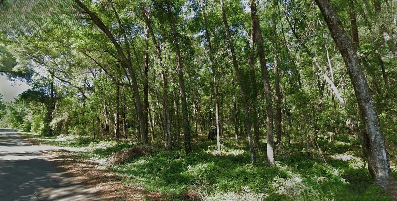 Sequoia Loop Trace, Ocklawaha, FL 32179
