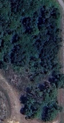 706 Eugene Cernan Dr., Labelle, FL 33935