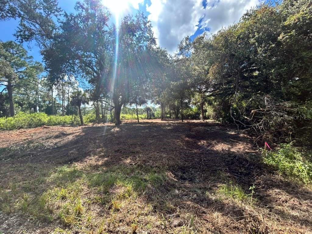 706 Eugene Cernan Dr., Labelle, FL 33935