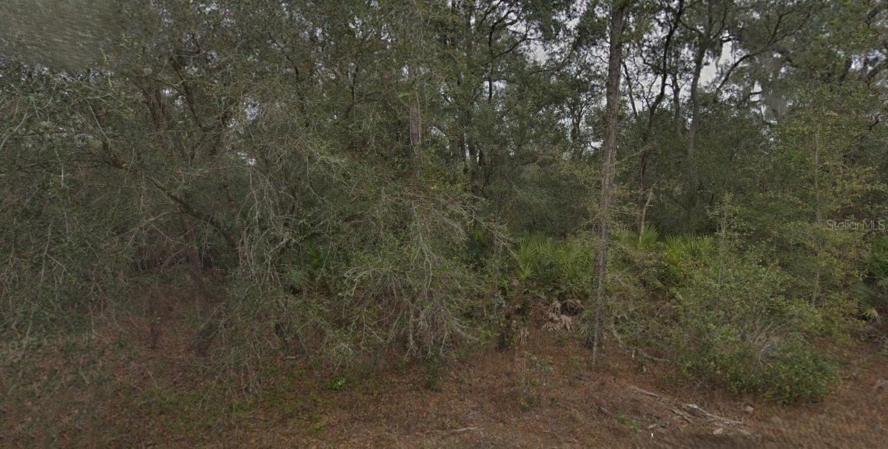 130 & 132 Bream Dr., Interlachen, FL 32148
