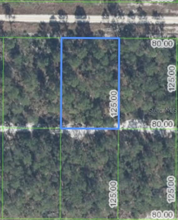 629 Parakeet Ave., Sebring, FL 33872