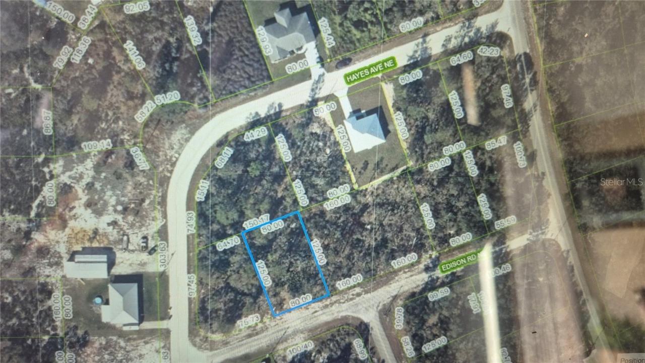 102 Edison Rd., Lake Placid, FL 33852