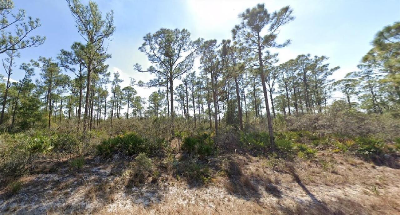 3334 Barn Swallow Ave., Lake Placid, FL 33852