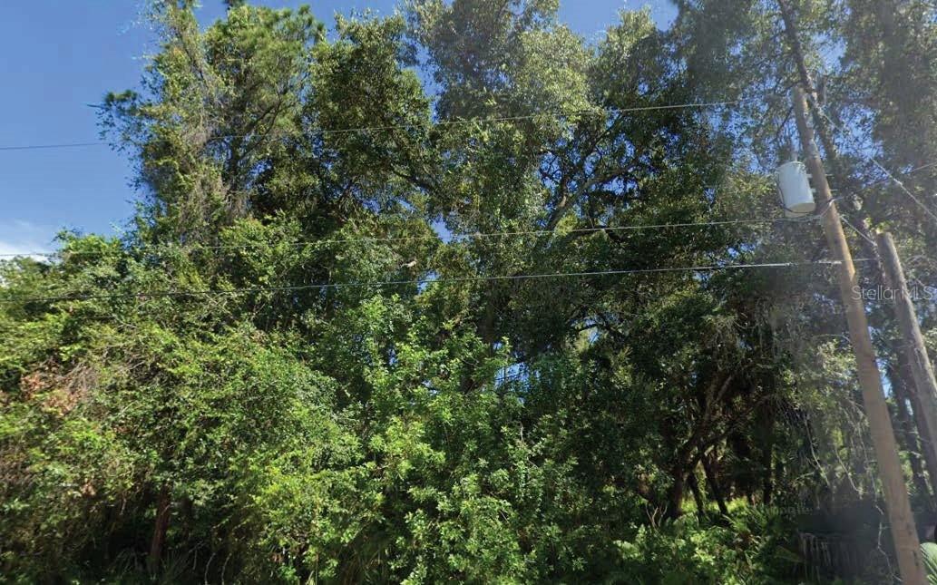 Trentwood Ln., North Port, FL 34286