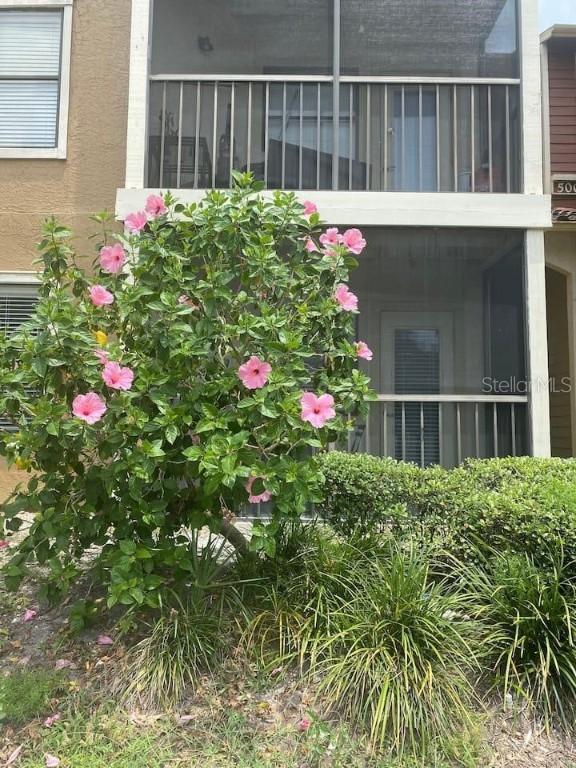 11901 4th St. #5101, St Petersburg, FL 33716