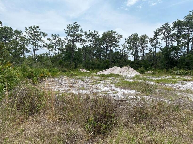 6591 Deland Ave., Indian Lake Estates, FL 33855