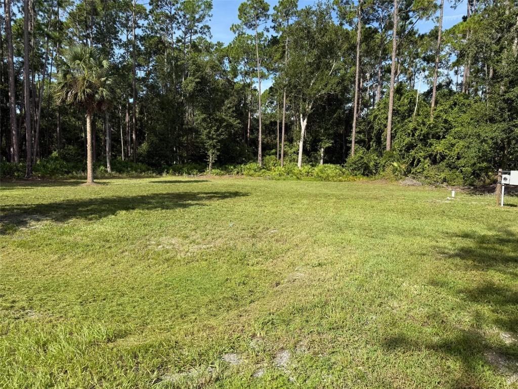 101 Anne Blvd., Georgetown, FL 32139