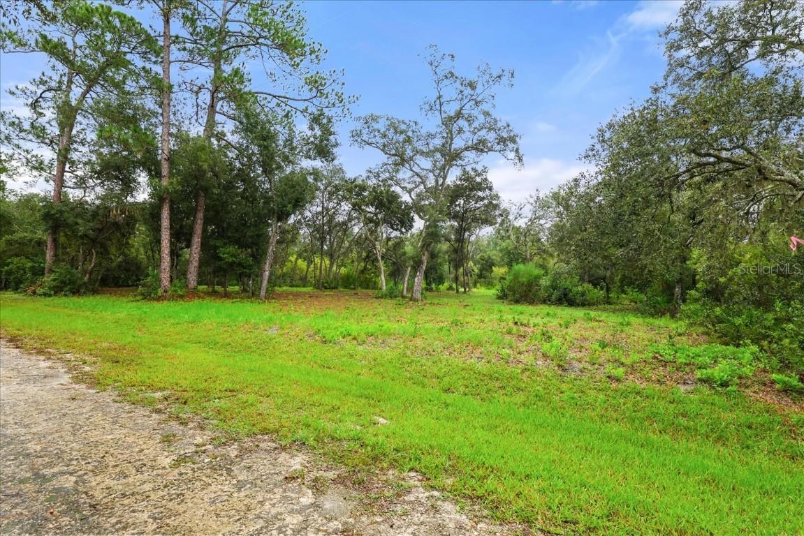 Creekstone St., Webster, FL 33597