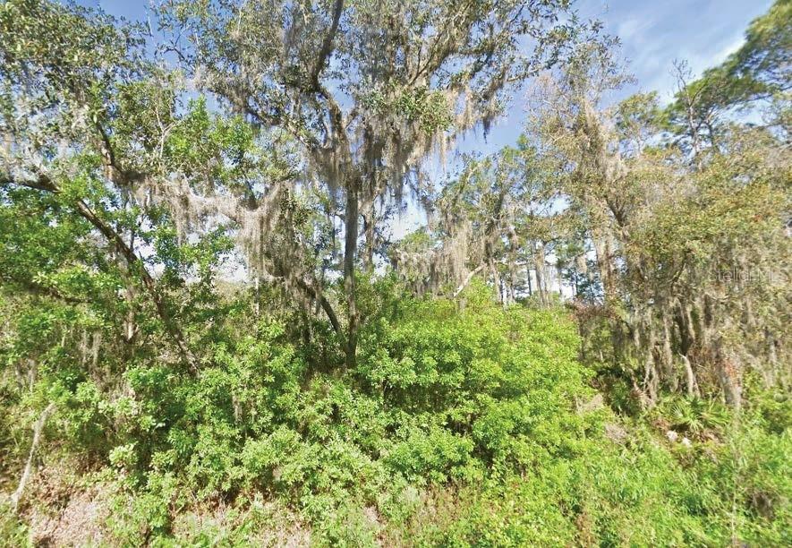 119 Temple Ave., Crescent City, FL 32112