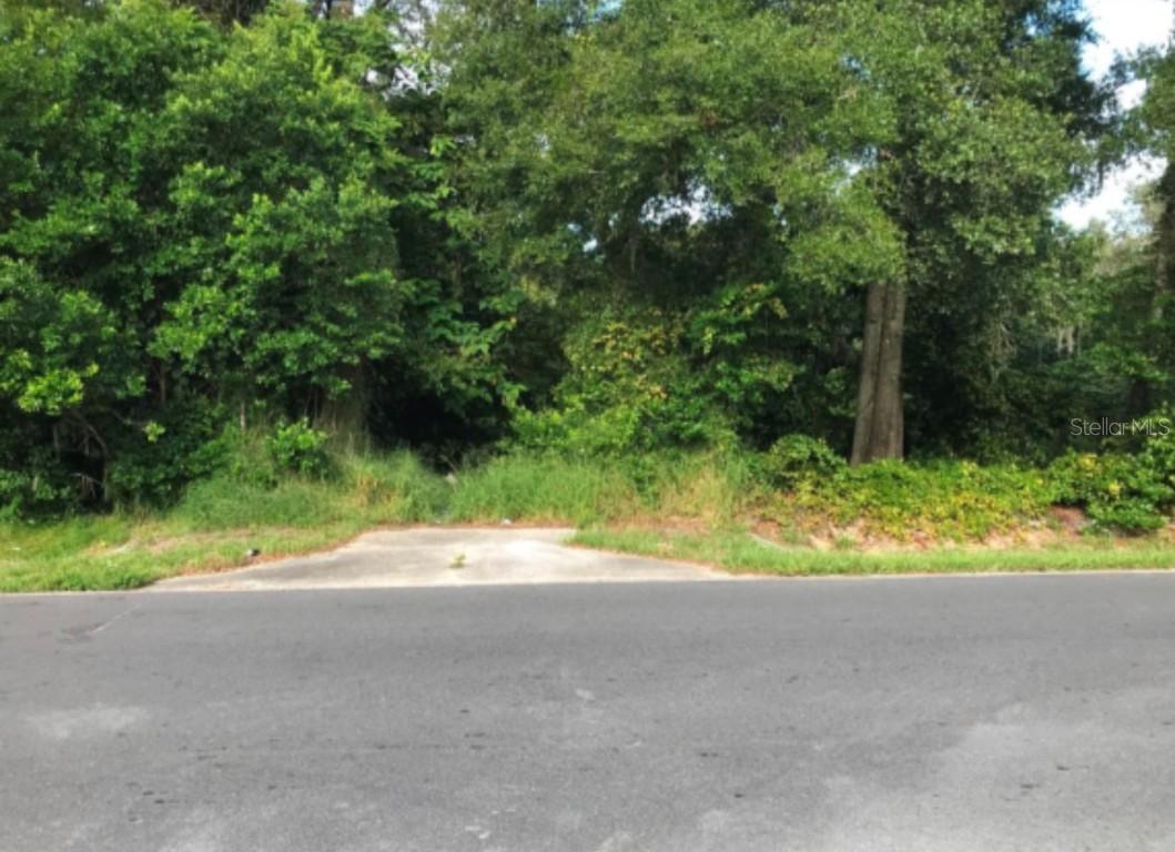 194 E 11th St., Apopka, FL 32703