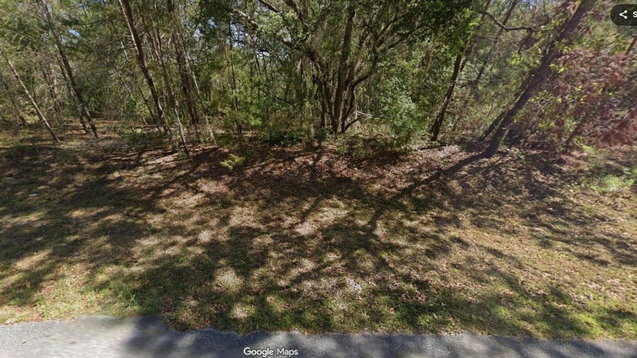 Fisher Run Ter., Ocklawaha, FL 32179