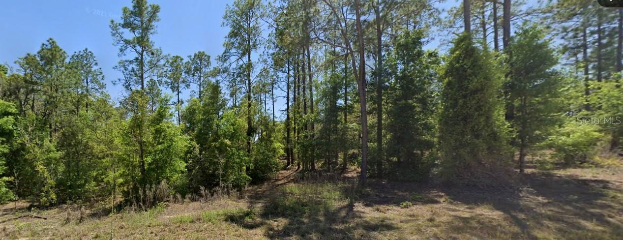 Se 5th Pl., Williston, FL 32696