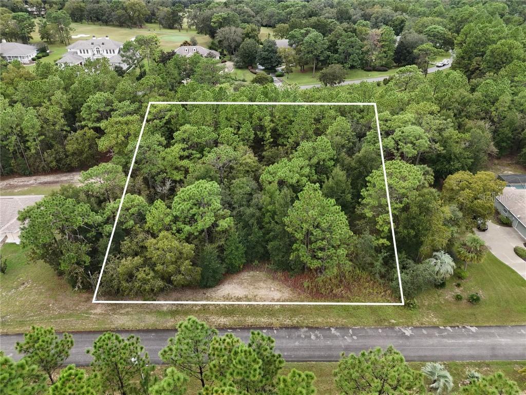 3916 N Buckwheat Point, Beverly Hills, FL 34465