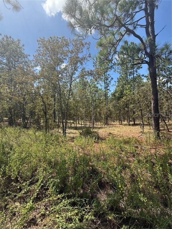 NW Ridgewood Rd., Dunnellon, FL 34431